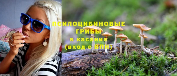 хмурый Армянск