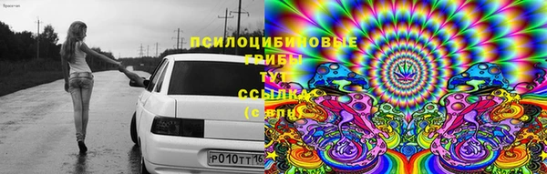 хмурый Армянск